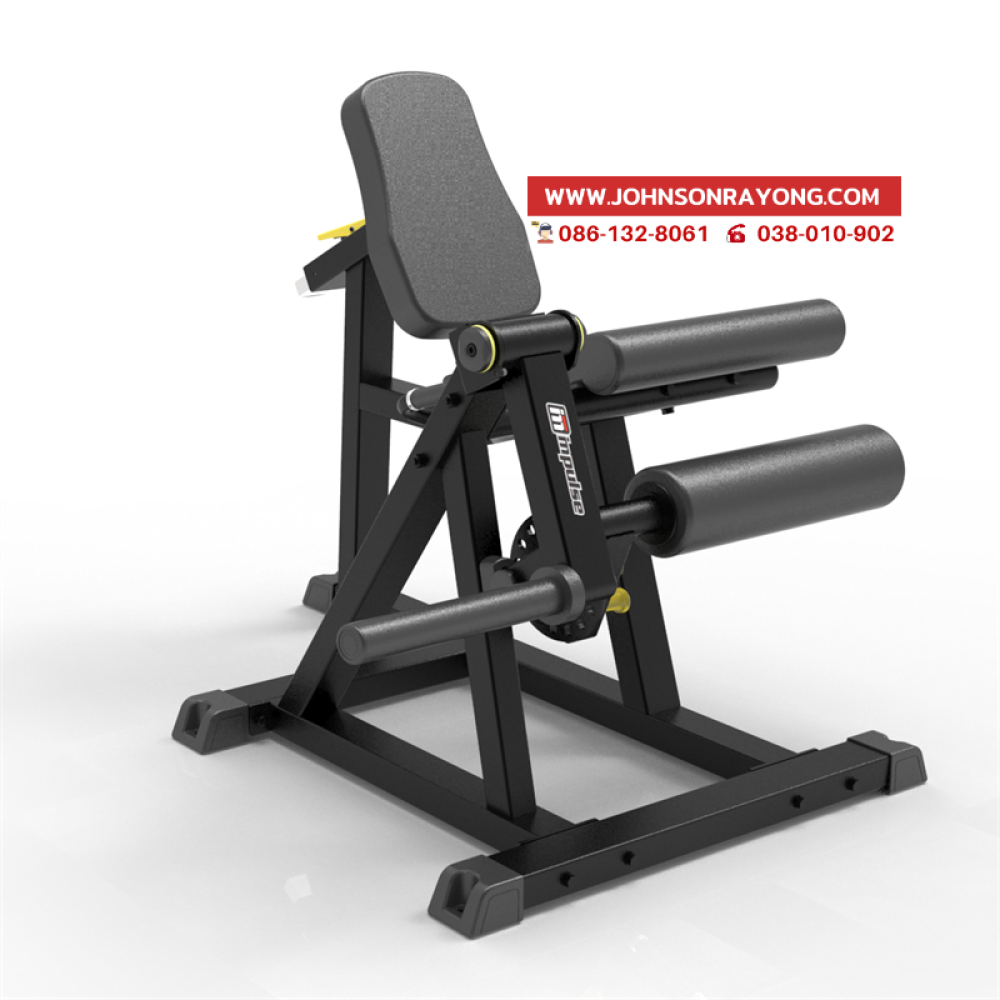 Seated Leg Extension